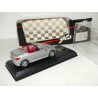 PEUGEOT 206 CABRIOLET Gris KIT GTS 1:43